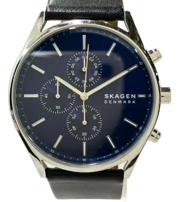 스카겐 손목시계 쿼츠 블루 남성용 SKAGEN