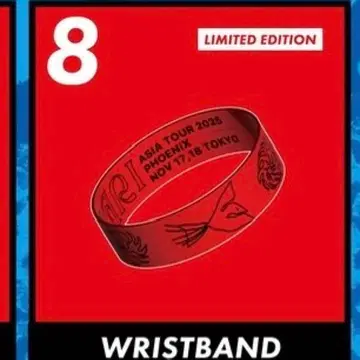 세카오와 Phoenix 러버 밴드 리스트 밴드