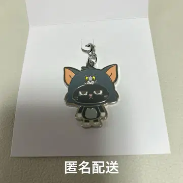 톰과 제리 BOYNEXTDOOR 푸네크도 POPUP 테산 참