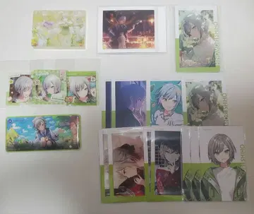 프로세카 히노모리 시호