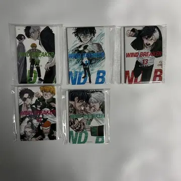 WIND BREAKER전 랜덤 캔 마그넷