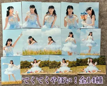 테쿠테쿠야호이! 생사진 전 14종 세트