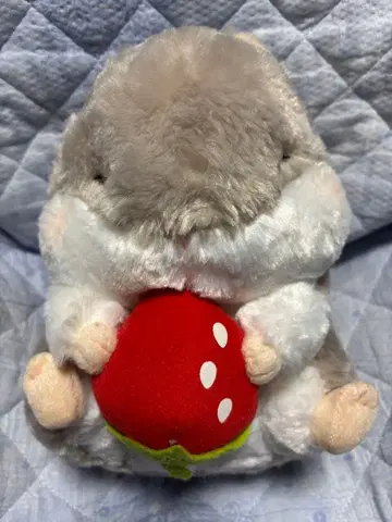 코로하무 콜론 딸기 봉제 인형 쟝 군 택 포함 미사용 새상품