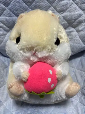 코로하무 콜론 딸기 봉제 인형 푸딩 택 포함 미사용 새상품