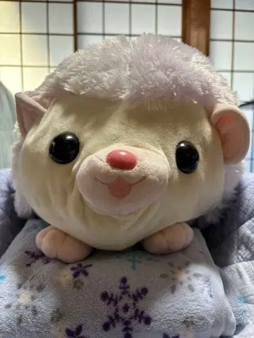 고슴도치 하린 데카 BIG 공주 봉제 인형 택 포함 미사용 새상품