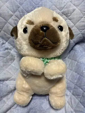 콩시바 삼형제 조르기2 퍼그베에 BIG 봉제 인형 택 포함 미사용 새상품