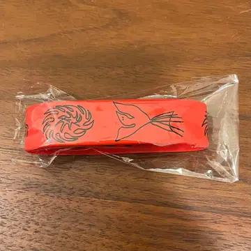 세카오와 Phoenix 도쿄 공연 러버밴드