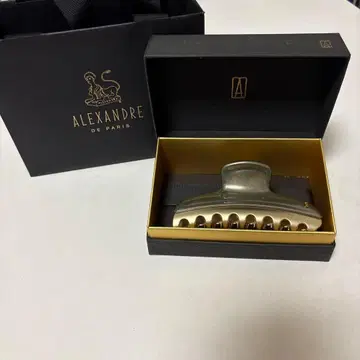 ALEXANDRE de PARIS 헤어 클립 실버