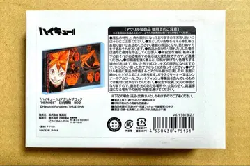 하이큐!! 생일 2024 아크릴 블록 히나타 쇼요