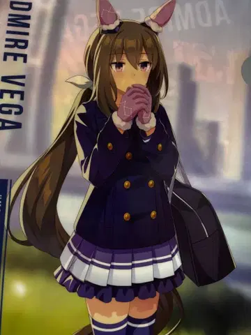 ADMIRE VEGA 클리어 파일 어드마이어 베가 8장