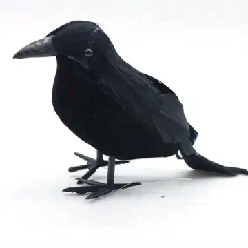 까마귀 피규어 블랙 깃털 완구 소품 코스프레 촬영