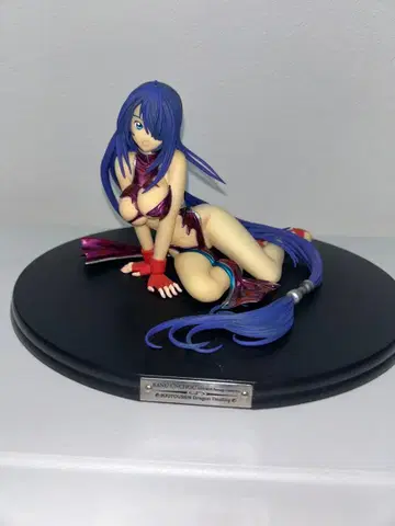 일기당천 관우운장 DVDBOX 차이나 드레스 피규어 시스루 데미지