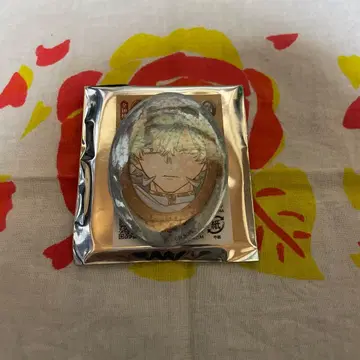 마남의 이치 마법의 거울 홀로그램 캔뱃지 컬렉션 반세계의 마법