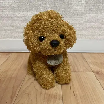 토이 푸들 앉아 봉제 인형
