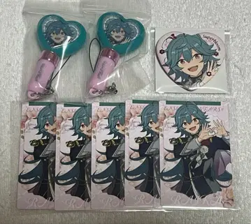 앙스타 스타포니 라이카세트