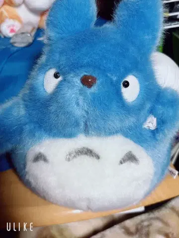 이웃집 토토로 중토토로 봉제 인형