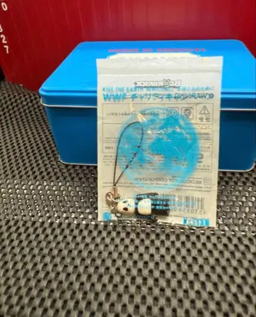 베어브릭 WWF 팬더 익명 배송 네코포스