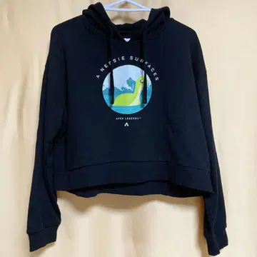 Apex Legends 넥시 출현 크롭 후드티 블랙 L