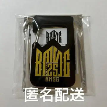BMSG 페스티벌 FES'25 랜덤 아크릴 카라비너
