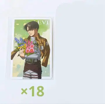 진격의 거인 past and future 혜택 카드 브로마이드 리바이