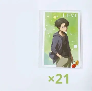 진격의 거인 past and future 혜택 카드 브로마이드 리바이