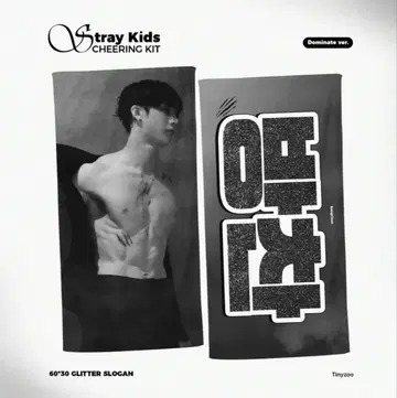 straykids 스키즈 슬로건 방찬