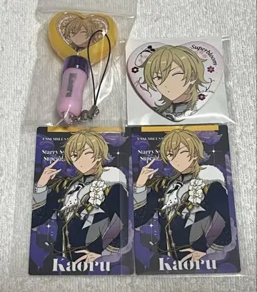 앙스타 스타포니 히카제 카오루 세트