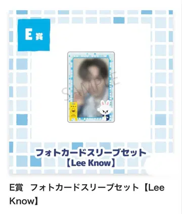 straykids 사진 카드 슬리브 리노