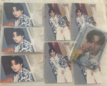 straykids 팝업 리노