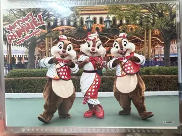 칩과 데일 클라리스 스페포