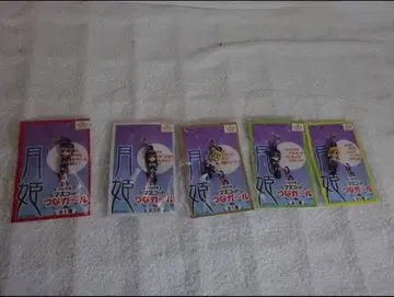 월희 츠나 걸 스트랩 5개 세트