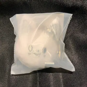 straykids 스키즈 페이스 키링 실버 폭시니 아이엔