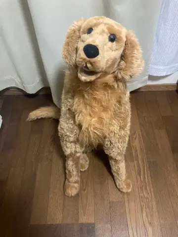 골든 리트리버 봉제 인형 빅 사이즈 등신대 크리스마스 선물