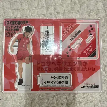 하이큐!! 말의 결정전 쿠로오 테츠로