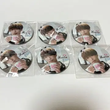 센라 실사 캔뱃지 6개 노멀 Brun