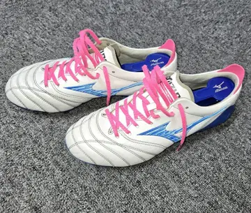 모렐리아 네오 4 24cm 최종 가격 인하