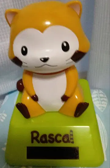 너구리 라스칼 흔들흔들 솔라 목 경련 피규어