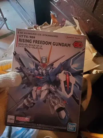 RISING FREEDOM GUNDAM STTS-909