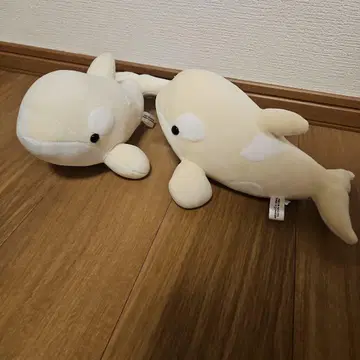 나고야항 수족관 한정판 화이트 범고래 봉제 인형 세트