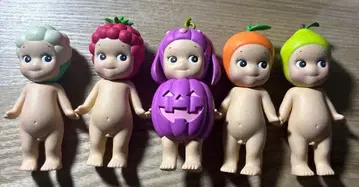 소니 엔젤 시리즈 11월 한정판 특가 5종 세트