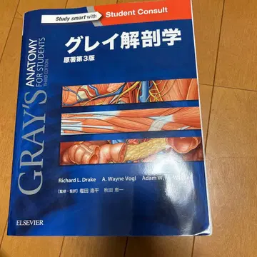 [쓰기 없음] 그레이 해부학