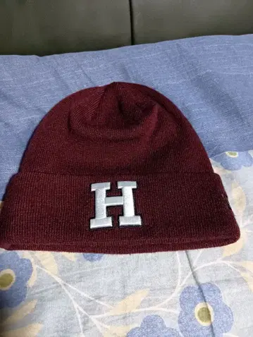 하버드 니트 모자