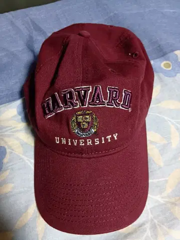 하버드 캡