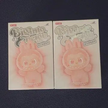 정품, 미개봉 LABUBU 봉제 인형 2피스