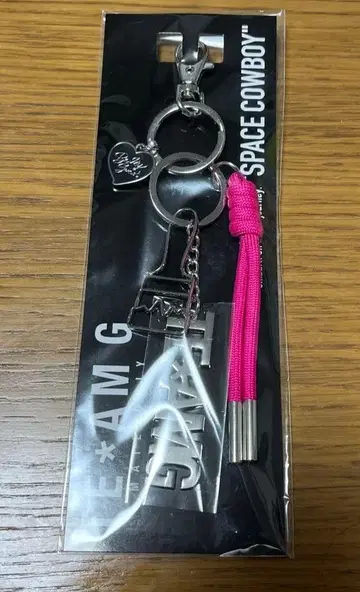 이와타 타카노리 TEAM G 백참