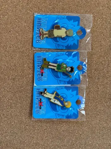 헌터헌터 핀즈 세트 핀 배지 응모자 전원 서비스 핀즈