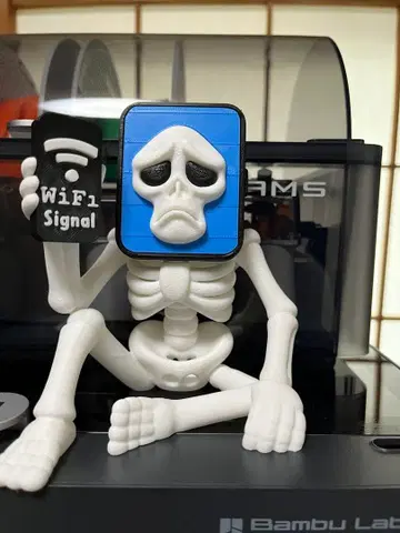 이탈리안 레인 로트 pot hospot