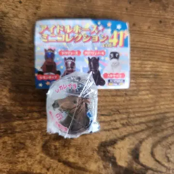 레갈레이라 아리마 기념 아이돌 호스 미니 컬렉션 vol.41