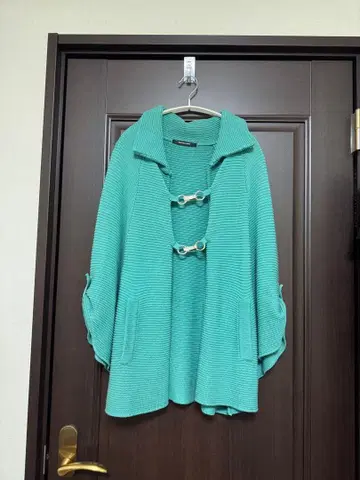 비아지오 블루 판초 2호