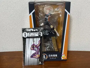 하이큐!! Happy 복권 피규어 A상 히나타 쇼요 I상 2세트